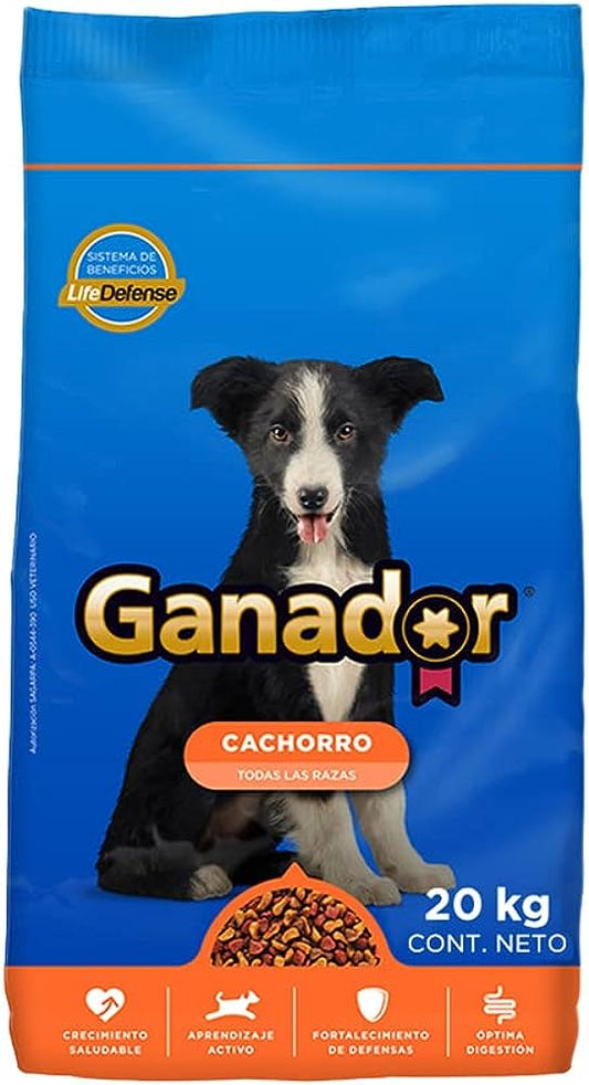 Ganador Cachorro