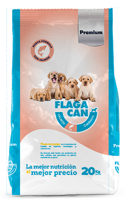 Flagacan Salmón Cachorro